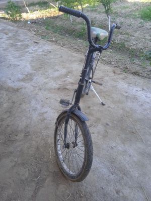 Kama velospet sotiladi