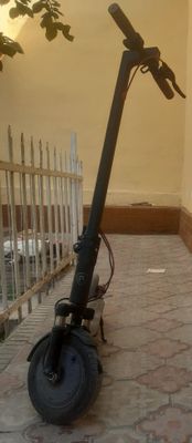 Eleqtra samaqat CAVALO