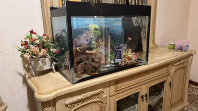 Akvarium sotiladi 140L hamma narsasi bilan