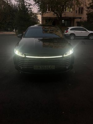 Byd chazor fulli