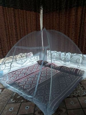 Pashshaxona пашшахона 240*240