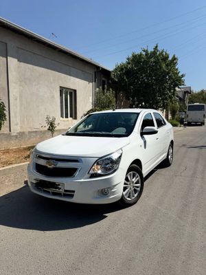 Cobalt 2024, (white)