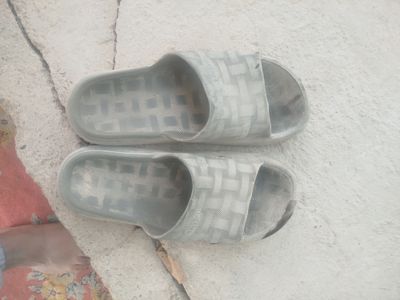 usta shipagi tavaruk