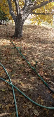 полив фонтанчик