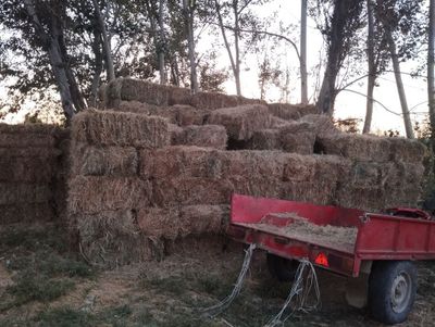 Beda aralash hashak