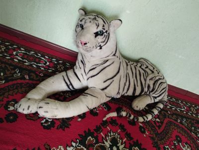 Myahkiy igrushka sotiladi tigr