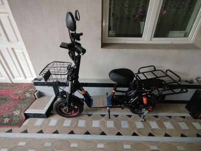 Elektovelik Drongo