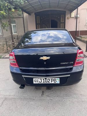 Kobolt 2023 Toza