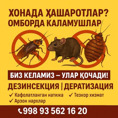 дезинфекция