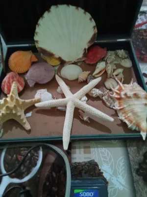 Продаётся набор для аквариума с насосом для подачи воздуха в отл.сост.