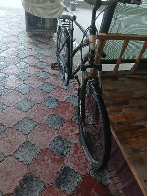 Velosiped sotiladi
