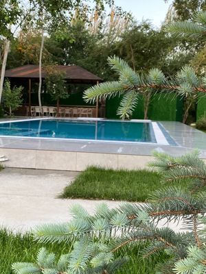 Samarqand Dacha 5 garden