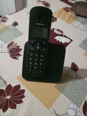 Damashniy Telifon Philipos