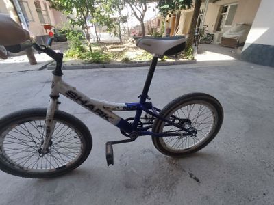 Velosiped Shark hestop baraban qoyilgan