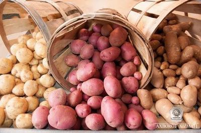 Картошка пиез кафе ресторанлар учун