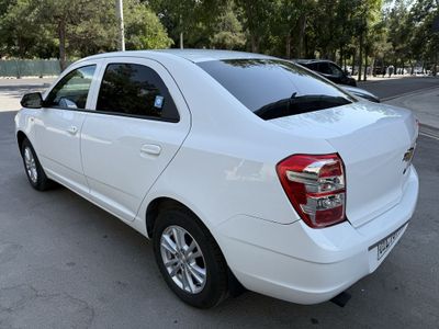 Cobalt poz 4 2024 Toza