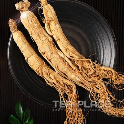 Корень женьшеня дикий