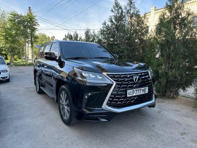 Mexmon tuy zags xizmatlari