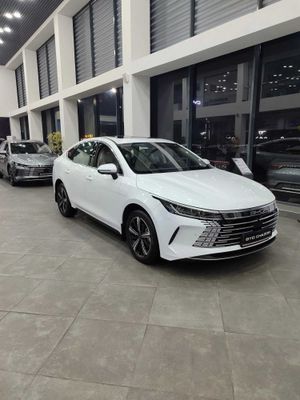 BYD chazor nasi va naqtga