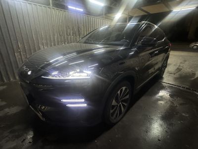 2023 йил BYD champion