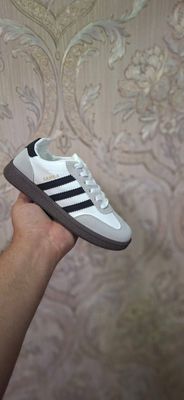 Trend model samba SIKIDKA narxda