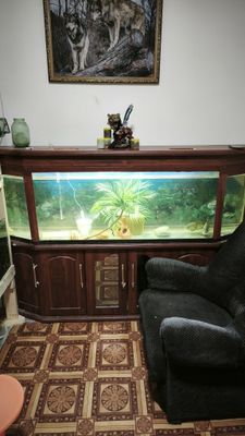 Akvariyum sotiladi