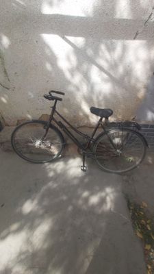 velosiped