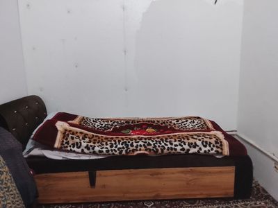 Spolni bir kishilik