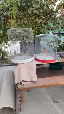 Продам клетки для птиц