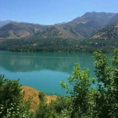 Бўстонлиқ тумани Сижжак қишлоғида ер сотилади