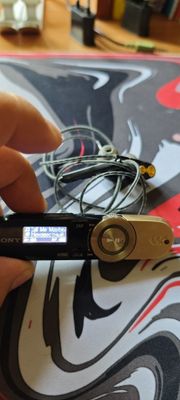 Sony Walkman nwz-b162f