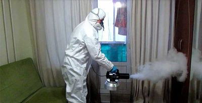 уничтожение клопов дезинфекция от клопов дезинфекция клопов dezinfeksi