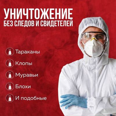 Уничтожаем насекомых качественно дезинфекция
