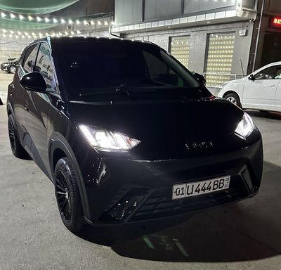 Byd Seagull qora kraska toza
