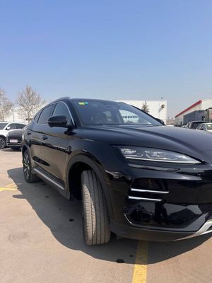 BYD champion smart 2025