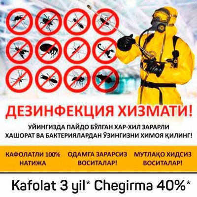 Dezinfeksiya Дезинфекция tarakan klop klapa burga chivin pashsha клоп