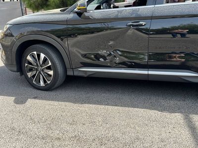 Byd chempion 2025