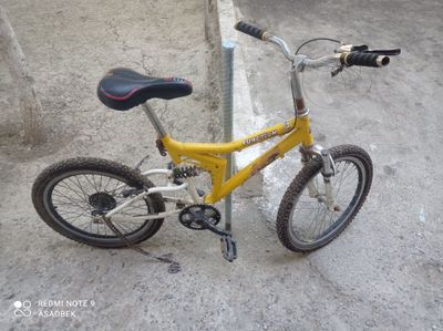 Velosiped skarasnoy