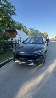 Byd champion 605 km kredit bor