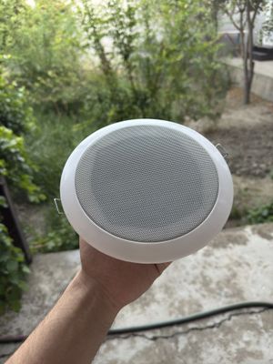 Kalonka patalog uchun