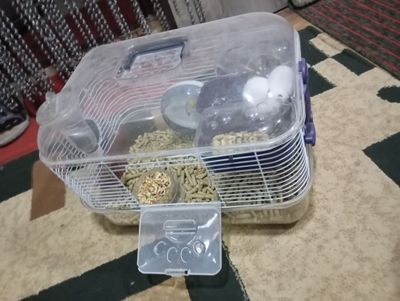 Хомяки с клеткой