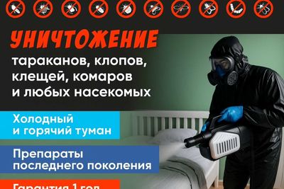 Уничтожение насекомых, клопов, тараканов. Дезинфекция Ташкент Dezinf-9