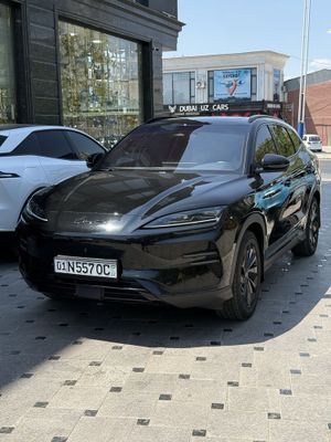 Byd champion 605