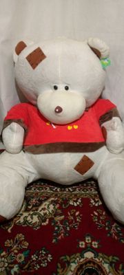 Tedi ayiqcha yengi
