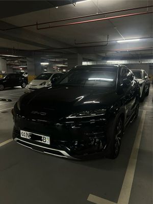 Byd Champion EV 605 km