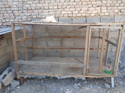 Katag sotladi xolati yaxshi zur