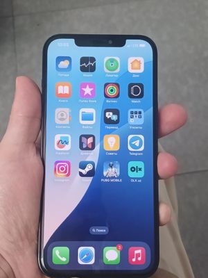 12 pro max