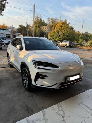 BYD chempion 605