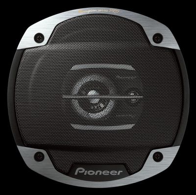 Pioneer chempion 16 sm
