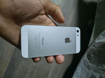 iPhone 5s holati zor radnoy